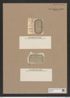 Stephanopyxis nuda Pant. (de-Toni-Nr.: Genus 187) Zeichnungen Sammlung Grunow Nr. 8310 (NHMW-BOT-W0377709)